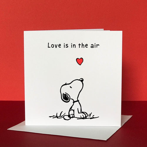 "Love is in the air"